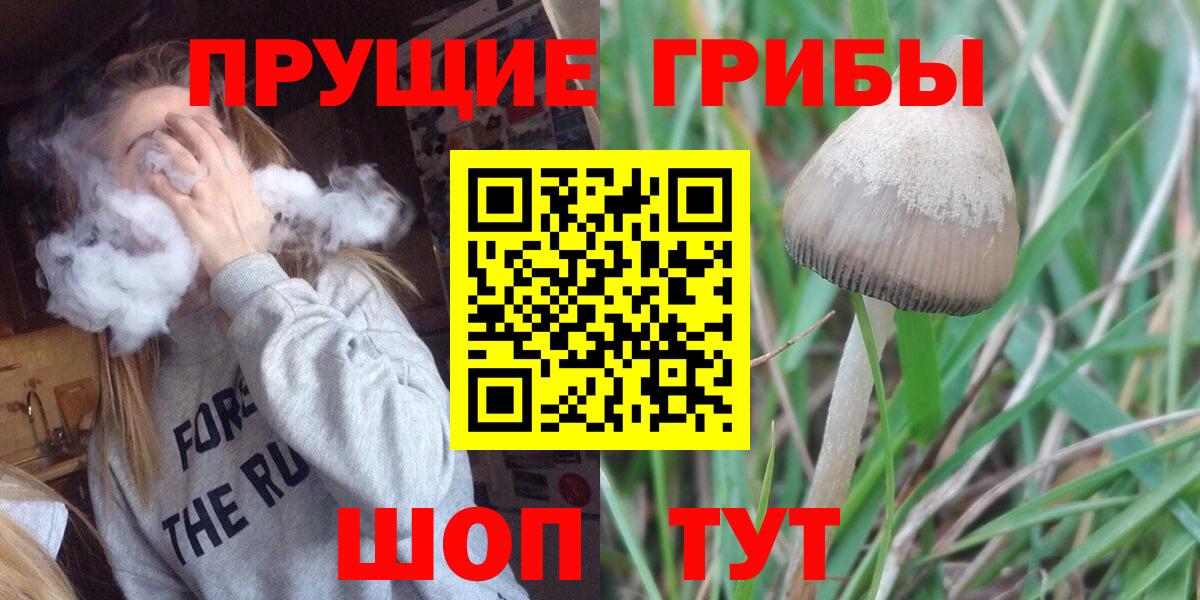 Галлюциногенные грибы GOLDEN TEACHER  Галлюциногенные грибы Magic Shrooms  Вход с VPN  Мичуринск 